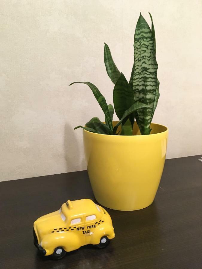 Sunflower Apartment Near Kiev Airport & Railway Station & Center City! المظهر الخارجي الصورة